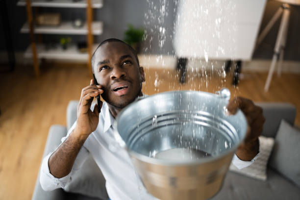 Best Sewage cleanup and water damage restoration  in West Monroe, MI