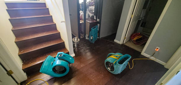 Best Professional water damage repair  in West Monroe, MI