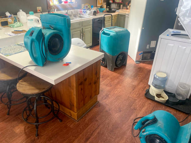 Best Sewage cleanup and water damage restoration  in West Monroe, MI