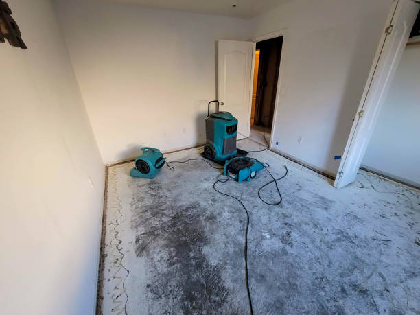 Professional Water damage restoration in West Monroe, MI