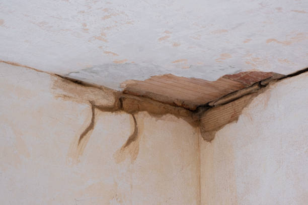Best 24-hour water damage restoration  in West Monroe, MI