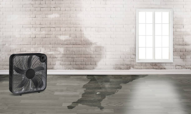 Best 24-hour water damage restoration  in West Monroe, MI
