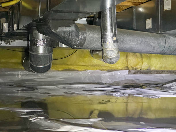 Best Basement water damage restoration  in West Monroe, MI
