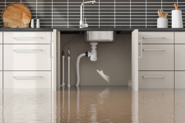 Best Emergency water damage restoration  in West Monroe, MI