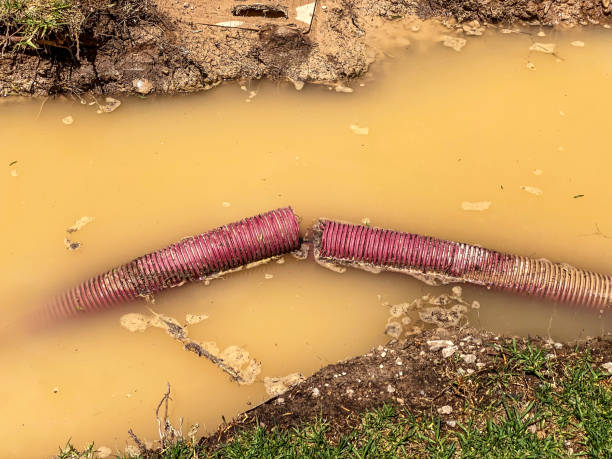 Best Mold removal after water damage  in West Monroe, MI